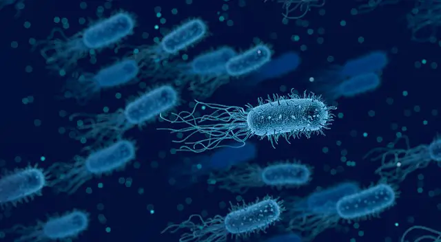 bacteriaforbacteriologypage-157726304